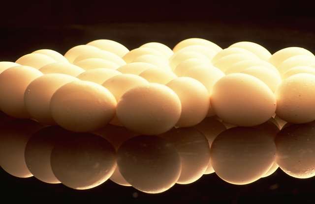 Huevos de gallina